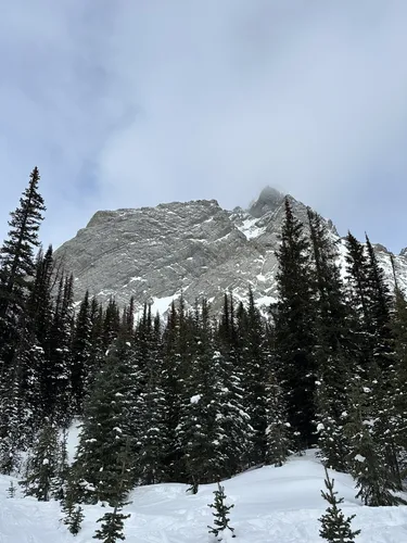 Best Hikes and Trails in Mount Shark Trailhead Provincial Recreation ...
