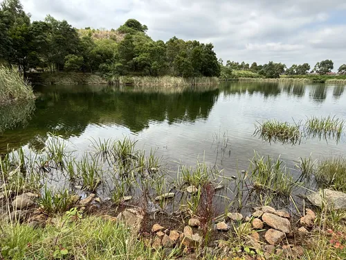 Best Hikes and Trails in Cook Springs Reserve | AllTrails