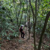 Bukit Mertajam Viewing Point via Cherok Tokun, Penang, Malaysia - 376 ...