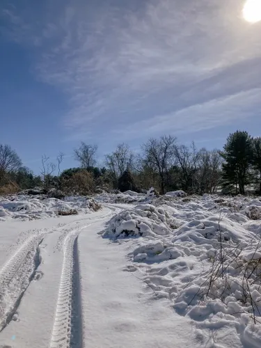 Best Hikes and Trails in Tiffany Creek Preserve | AllTrails