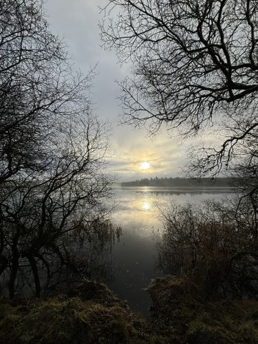 Woman fishing on the bank of Gartmorn Dam in Scotland Stock Photo - Alamy