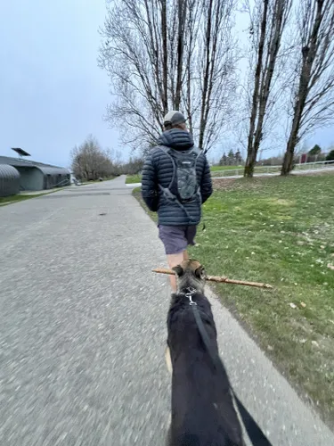 se permiten perros en el aeropuerto de seatac