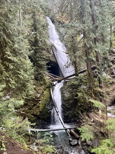 Olympic waterfall outlet trail