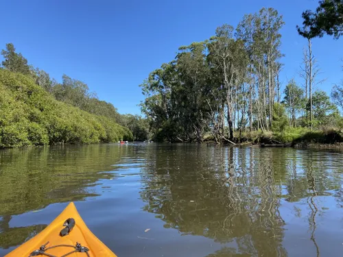 Best Beach Trails in Narrawallee Creek Nature Reserve | AllTrails