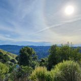 Monte Bello Black Mountain Loop, California - 770 Reviews, Map