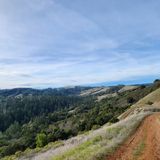 Monte Bello Black Mountain Loop, California - 773 Reviews, Map