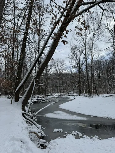 West creek reservation mountain bike online trail