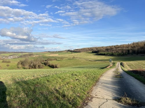 Dietrichingen - Ohrenthal