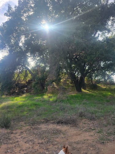 Photos of Rancho Los Alamos Loop via Mira Mosa California