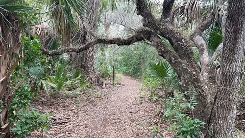 Maritime hammock outlet sanctuary