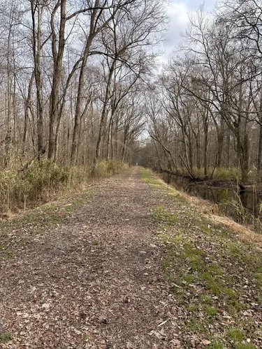 Best Trail Running Trails in Great Dismal Swamp National Wildlife ...