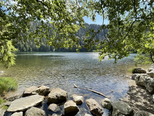 Feldbergsteig (Genießerpfad)