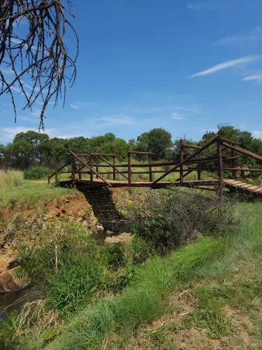 best-forest-trails-in-alberton-alltrails