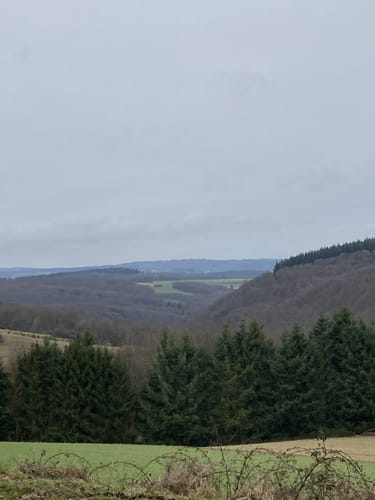 Steinbach Rundweg Masburg