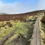 Ballinastoe Wood to Djouce via Wicklow Way: 1.644 fotos - Condado de ...