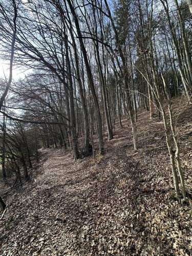 Jurasteig Schwarze-Laber-Schlaufe