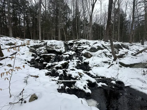 daniels road state forest trail map