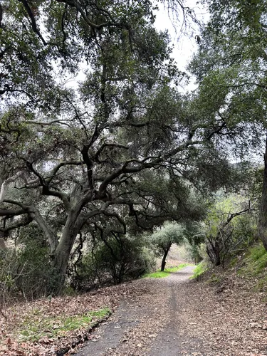 Best Hikes and Trails in Westridge Canyonback Wilderness Park