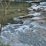 Cartecay River Loop Trail, Georgia - 1,934 Reviews, Map | AllTrails