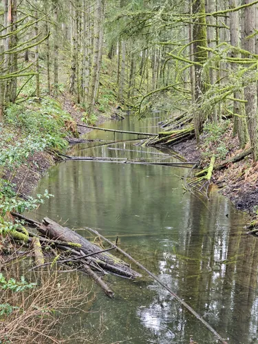 Best Hikes and Trails in Joint Base Lewis-McChord | AllTrails
