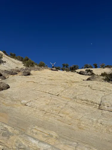 Grand staircase escalante outlet dog friendly hikes