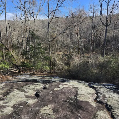 Best Views Trails in Loganville AllTrails