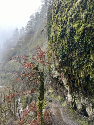Eagle Creek Trail - Oregon USA
