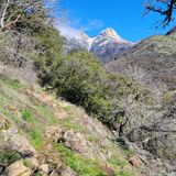 Ladybug trail clearance sequoia