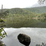 Wallace Falls and Wallace Lake Loop, Washington - 1,165 Reviews, Map ...