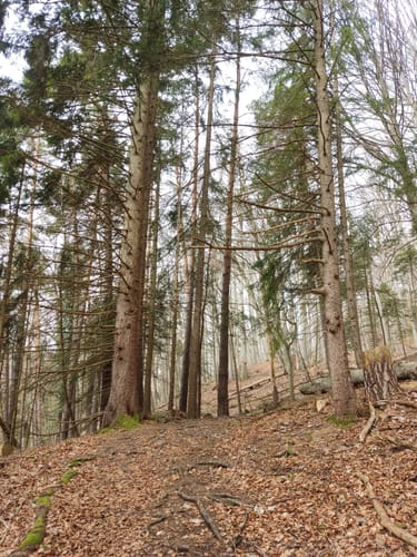 Geschichtspfad Streichen