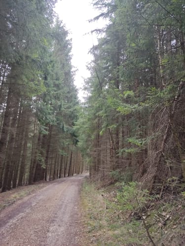 Geschichtspfad Streichen