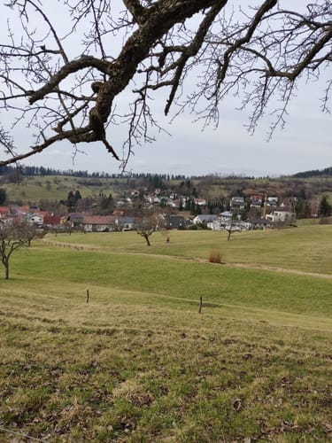 Geschichtspfad Streichen
