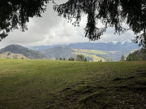 Kapfwald-Runde (Premiumwinterwanderweg)