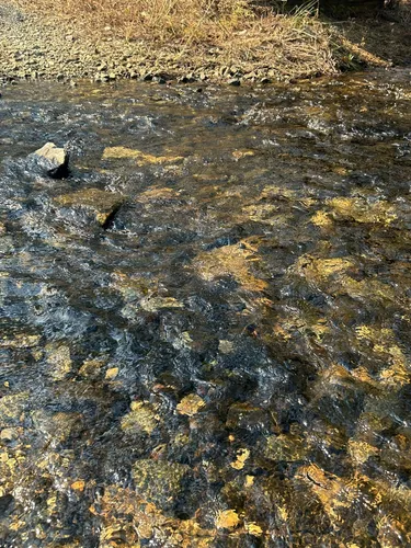 Best Hikes and Trails in Bear Lake Recreation Area | AllTrails