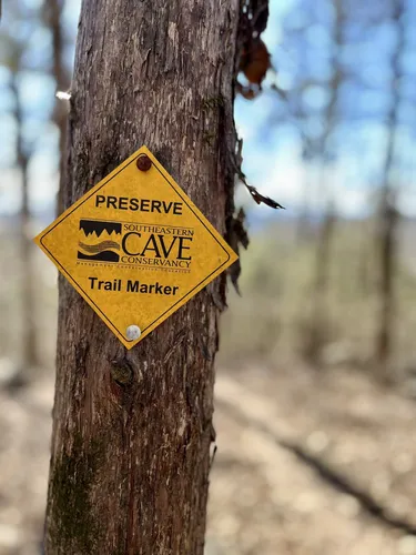 Best Hikes and Trails in Neversink Cave Preserve | AllTrails