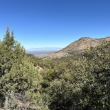 Madera Canyon Nature Trail, Arizona - 1,115 Reviews, Map | AllTrails