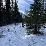 Widow Maker Trail, Kananaskis - Play Outside Guide