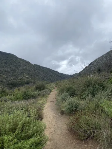 Best Hikes and Trails in Cole Canyon Natural Park | AllTrails