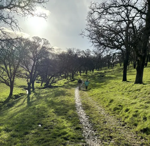 Best Hikes and Trails in Round Valley Regional Preserve | AllTrails