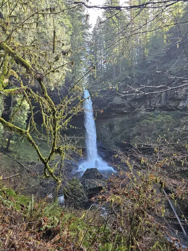 Best River Trails in Mehama AllTrails