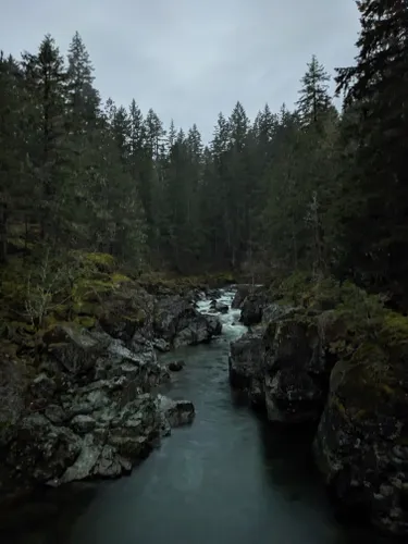 Shawnigan Lake, British Columbia. Slow Down, Enjoy Life. Cowboy