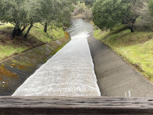 Best Fishing Trails in Mount Tamalpais Watershed