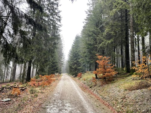 Großen Feldberg