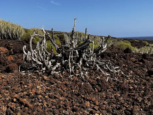 Reserva Natural Especial del Malpaís de Güímar Die besten Routen zum