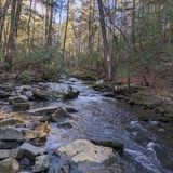 Fiery Gizzard Trail to Raven's Point, Tennessee - 1,138 Reviews, Map ...