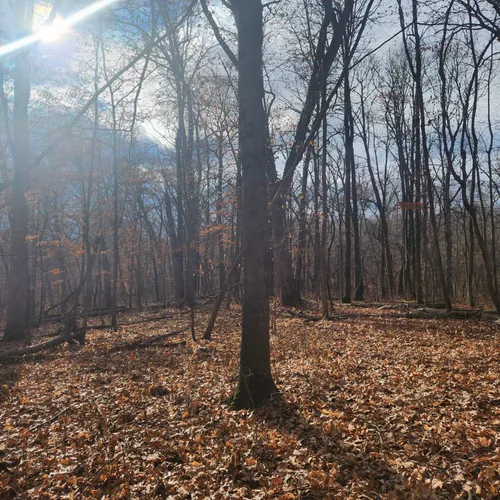 Best Camping Trails in Harpers Ferry AllTrails