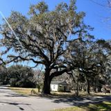 Talahassee Saint Marks Historic Rail State Trail, Florida - 190 Reviews ...