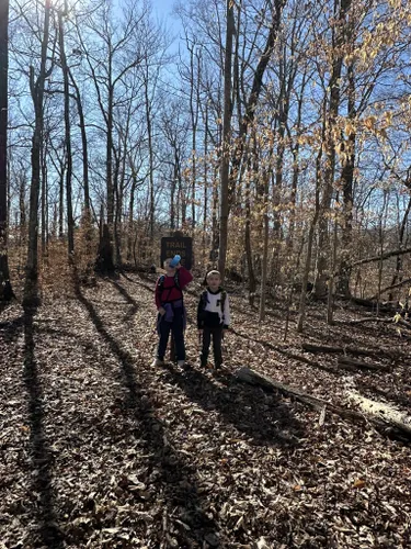 Best Views Trails In Dale Hollow Lake State Resort Park Alltrails 1494