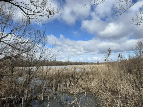 Best Hikes and Trails in Mud Lake Conservation Area | AllTrails