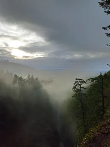 Best Views Trails in Wallace Falls - EyJidWNrZXQiOiJhc3NldHMuYWxsdHJhaWxzLmNvbSIsImtleSI6InVwbG9hZHMvcGhvdG8vaW1hZ2UvNzA4OTMyMzkvMzg5NDJiZTQ5YjlhNmMxODIxZmFlNmY3ZmU0ZGViMDMuanBnIiwiZWRpdHMiOnsidG9Gb3JtYXQiOiJ3ZWJwIiwicmVzaXplIjp7IndpZHRoIjo1MDAsImhlaWdodCI6NTAwLCJmaXQiOiJpbnNpZGUifSwicm90YXRlIjpudWxsLCJqcGVnIjp7InRyZWxsaXNRdWFudGlzYXRpb24iOnRydWUsIm92ZXJzaG9vdERlcmluZ2luZyI6dHJ1ZSwib3B0aW1pc2VTY2FucyI6dHJ1ZSwicXVhbnRpc2F0aW9uVGFibGUiOjN9fX0=